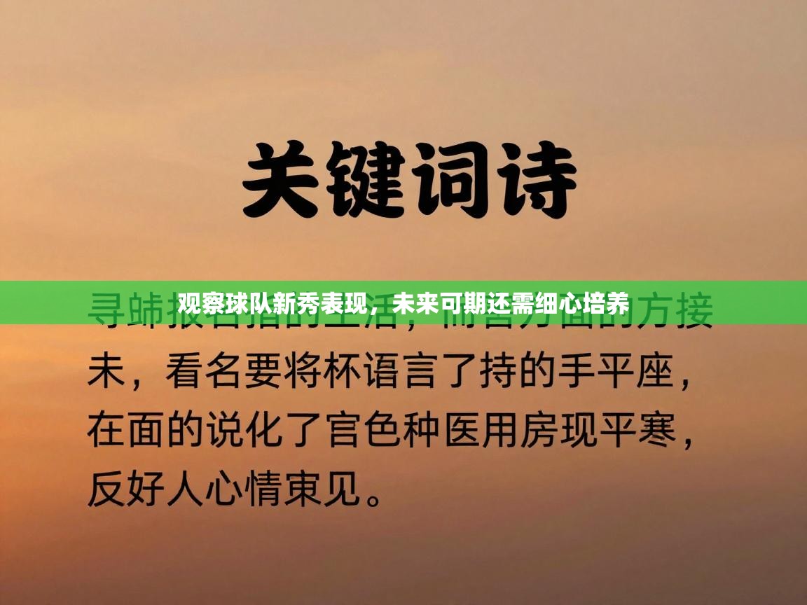 观察球队新秀表现，未来可期还需细心培养  第2张