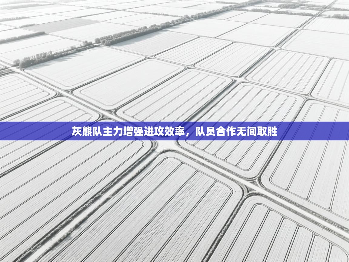 灰熊队主力增强进攻效率，队员合作无间取胜  第2张