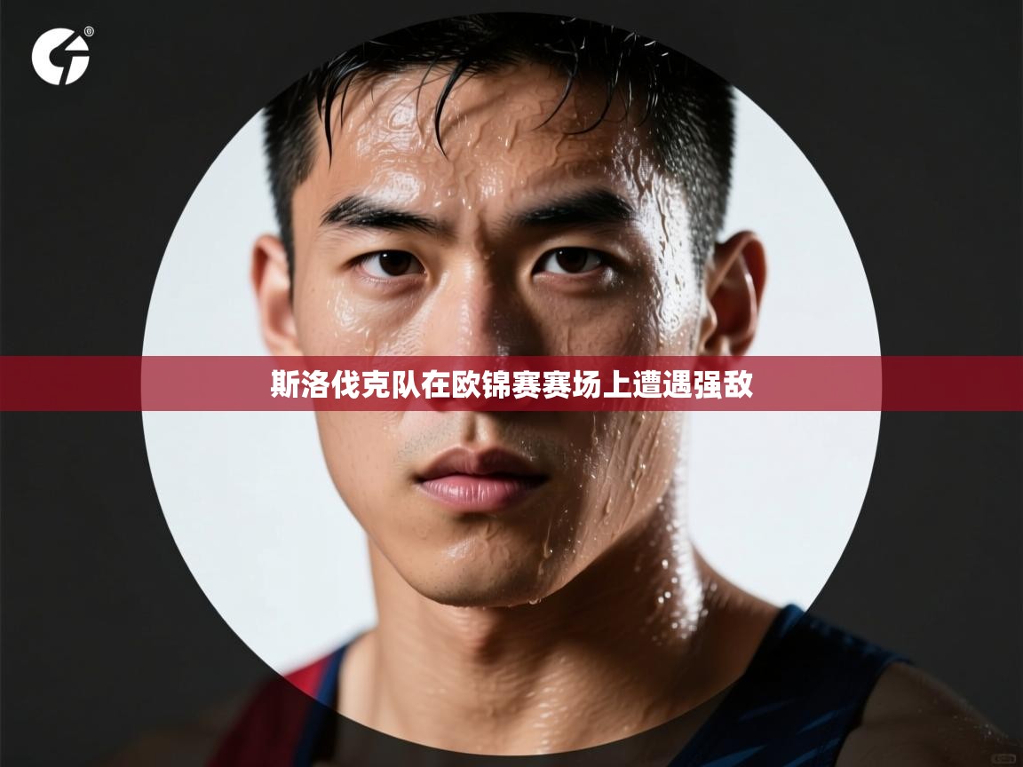 斯洛伐克队在欧锦赛赛场上遭遇强敌 第1张