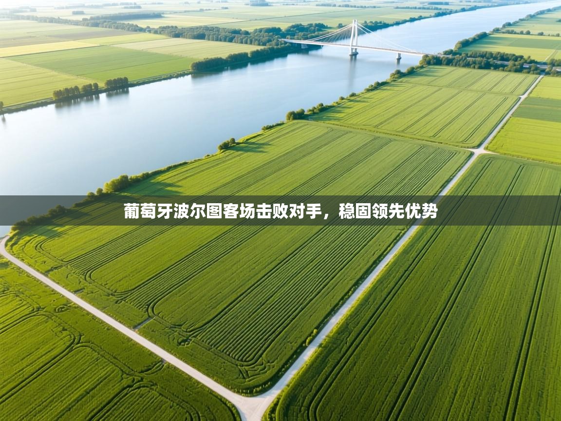 葡萄牙波尔图客场击败对手,稳固领先优势 第1张