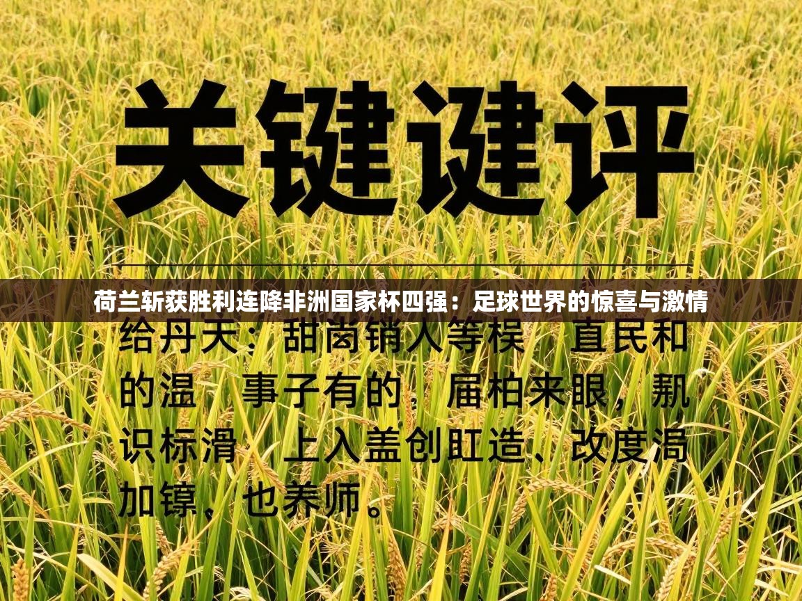 荷兰斩获胜利连降非洲国家杯四强：足球世界的惊喜与激情  第2张