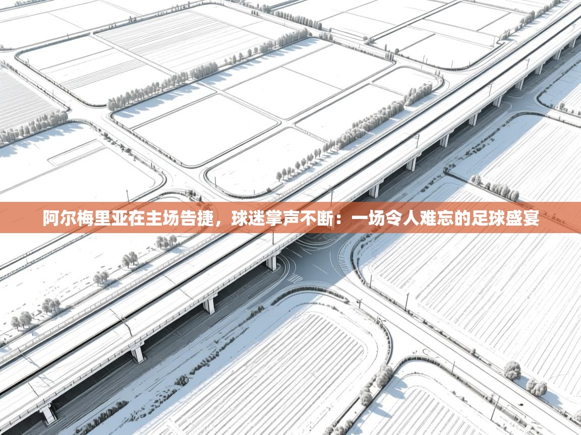 阿尔梅里亚在主场告捷,球迷掌声不断:一场令人难忘的足球盛宴 第2张