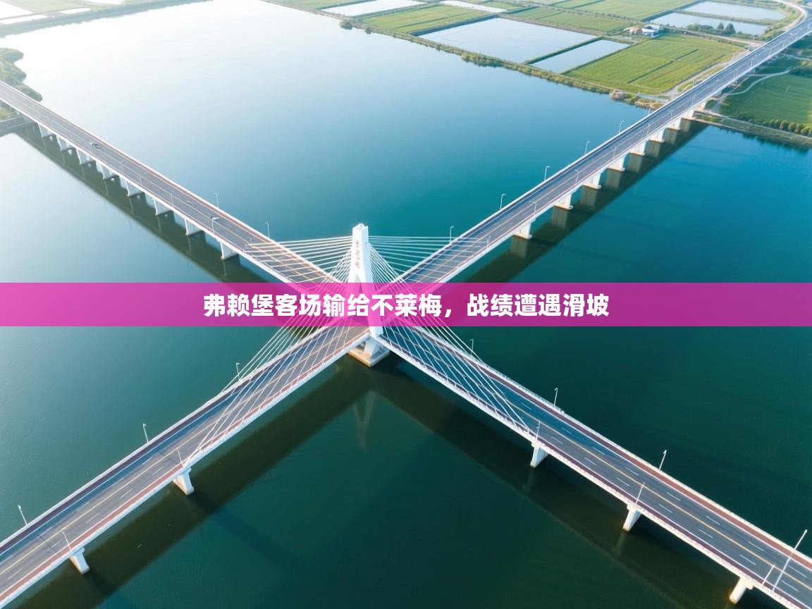 弗赖堡客场输给不莱梅，战绩遭遇滑坡  第1张